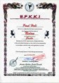 /album/certificates/efkki-nidan-certificate-jpg/